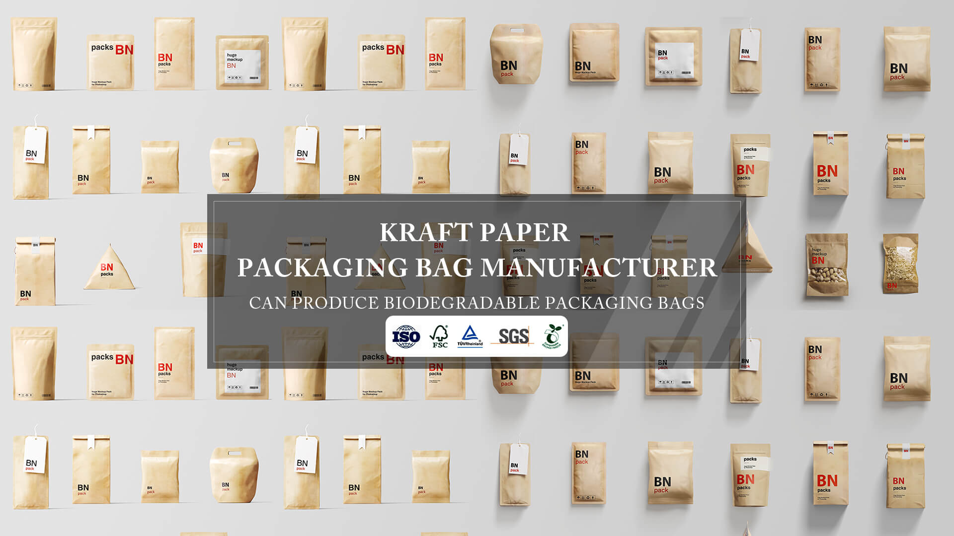 Kraft Paper Packaging Bag Manufacturer